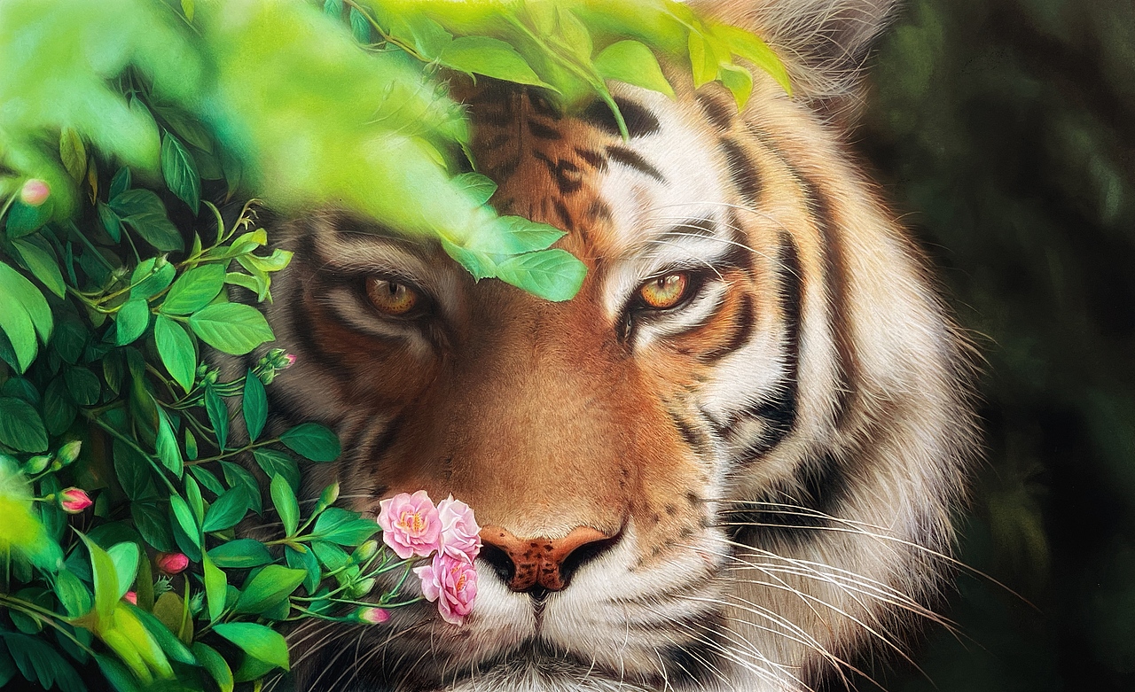 彩铅创作《心有猛虎,细嗅蔷薇》