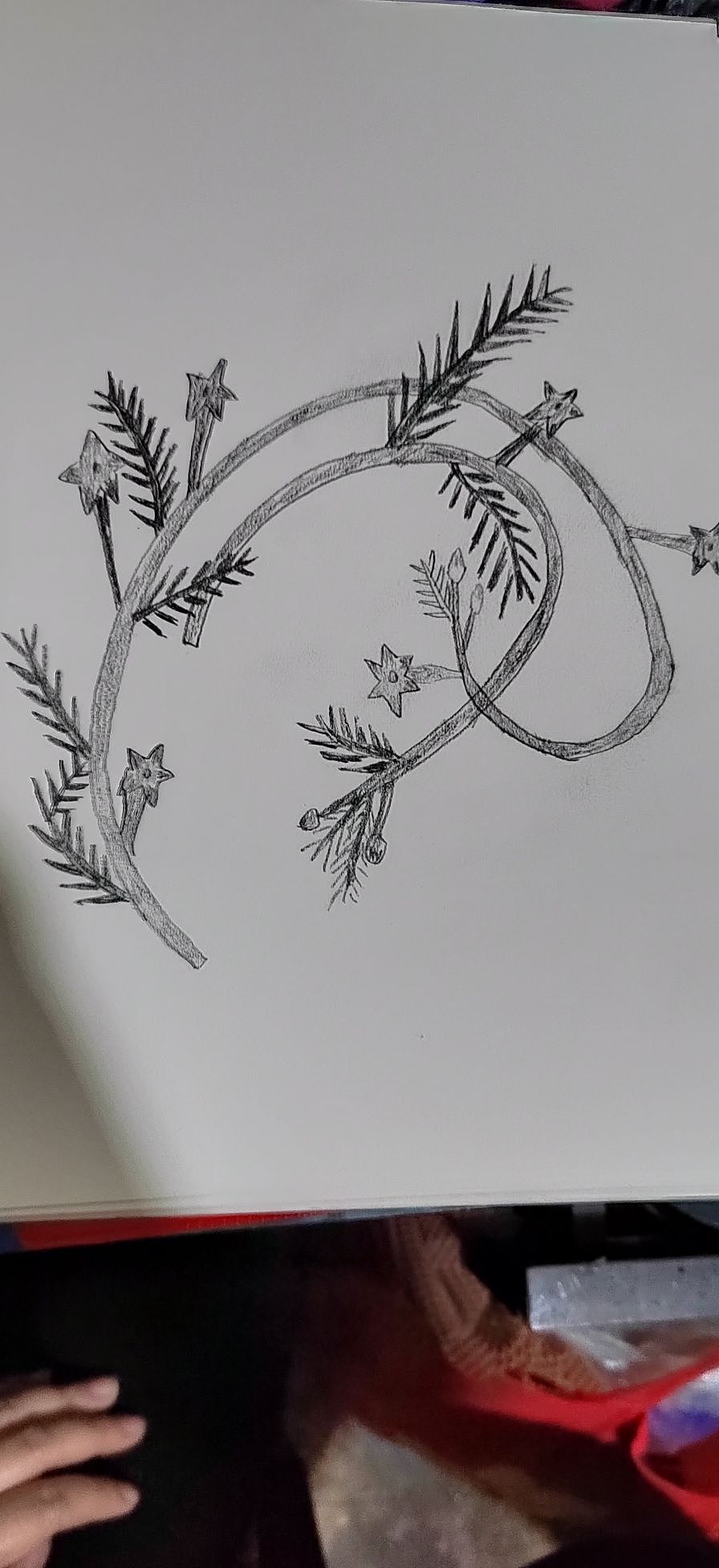 莺萝花。白描自动铅笔画画。