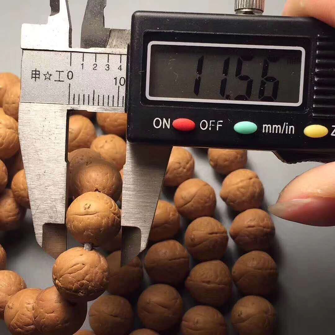 尼泊尔高山凤眼——龙掌柜文玩