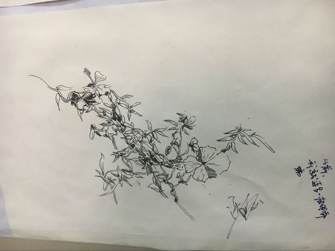 手绘（图ZNjQ4NjcxMTY=） - 绘画 - 站酷设计师潘戴金原创素材 - 站酷ZCOOL