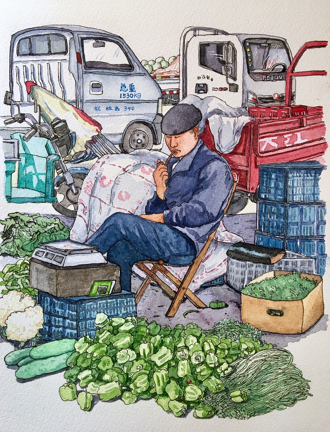 我的菜市场系列