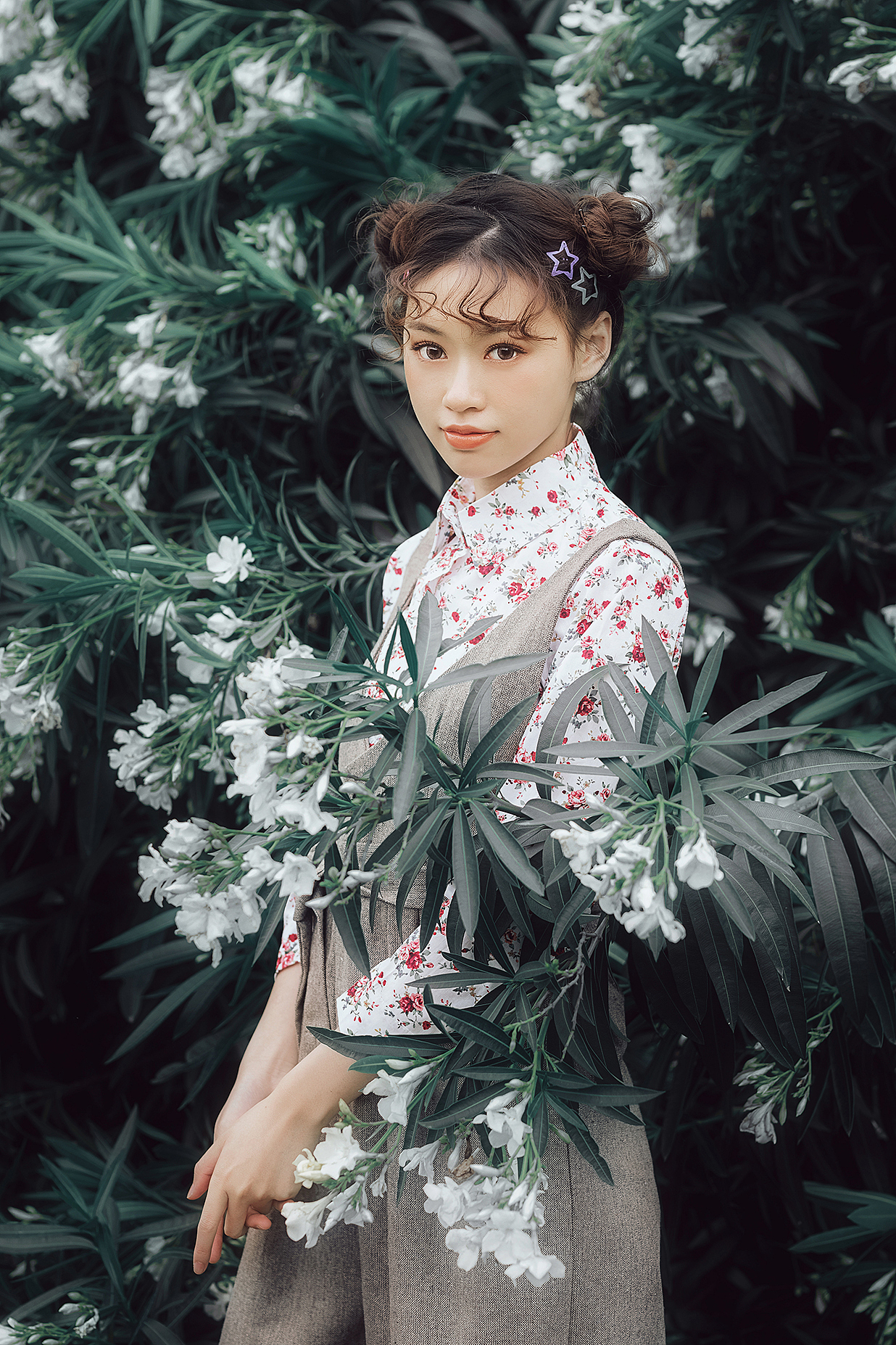 夹竹桃和小菇凉