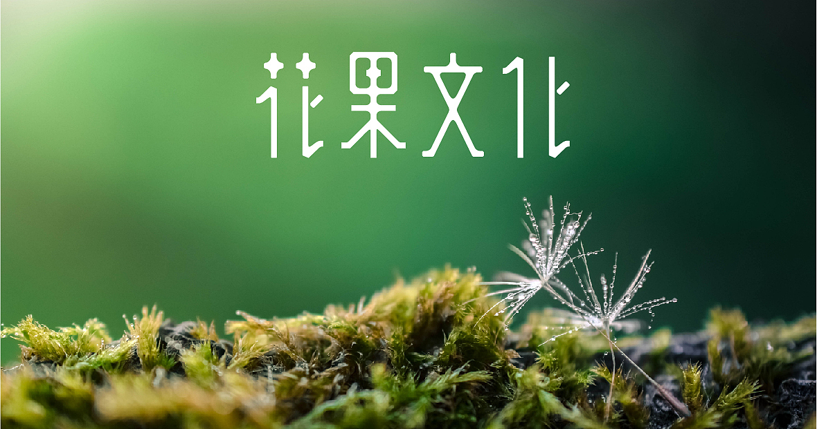 近期字体作品整理（图ZNzgxMTU0OTI=） - 字体/字形 - 站酷设计师张西文原创素材 - 站酷ZCOOL