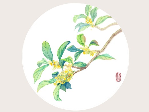 金桂飘香——水彩桂花