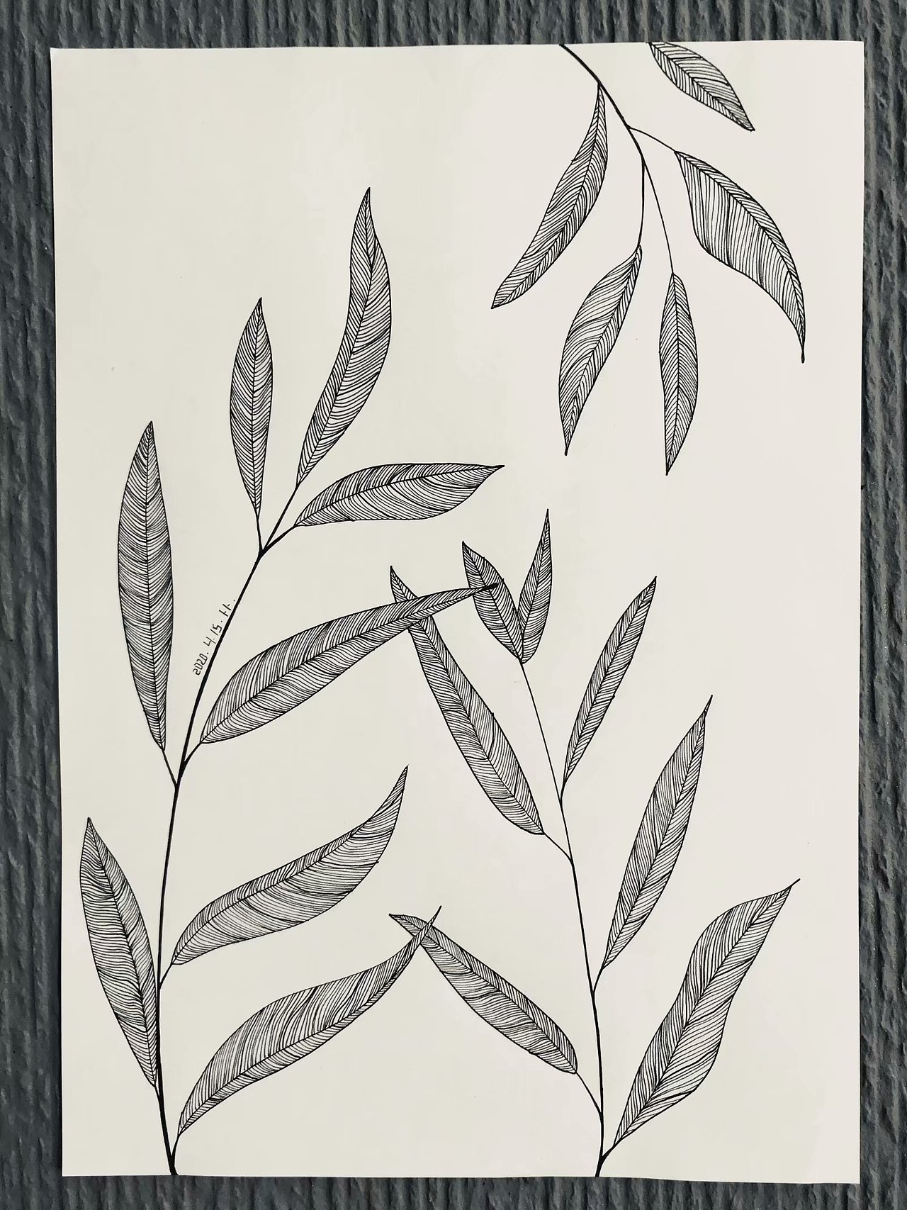 黑白无间-植物篇（图ZMjA3NTExMDQ4） - 创作习作 - 站酷设计师我不是萝卜头原创素材 - 站酷ZCOOL