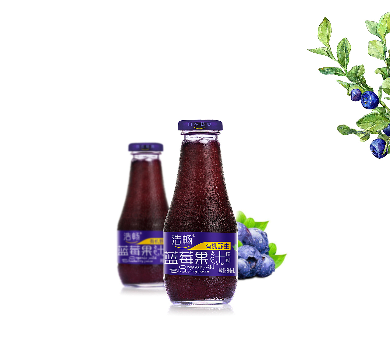 有机蓝莓果汁包装设计