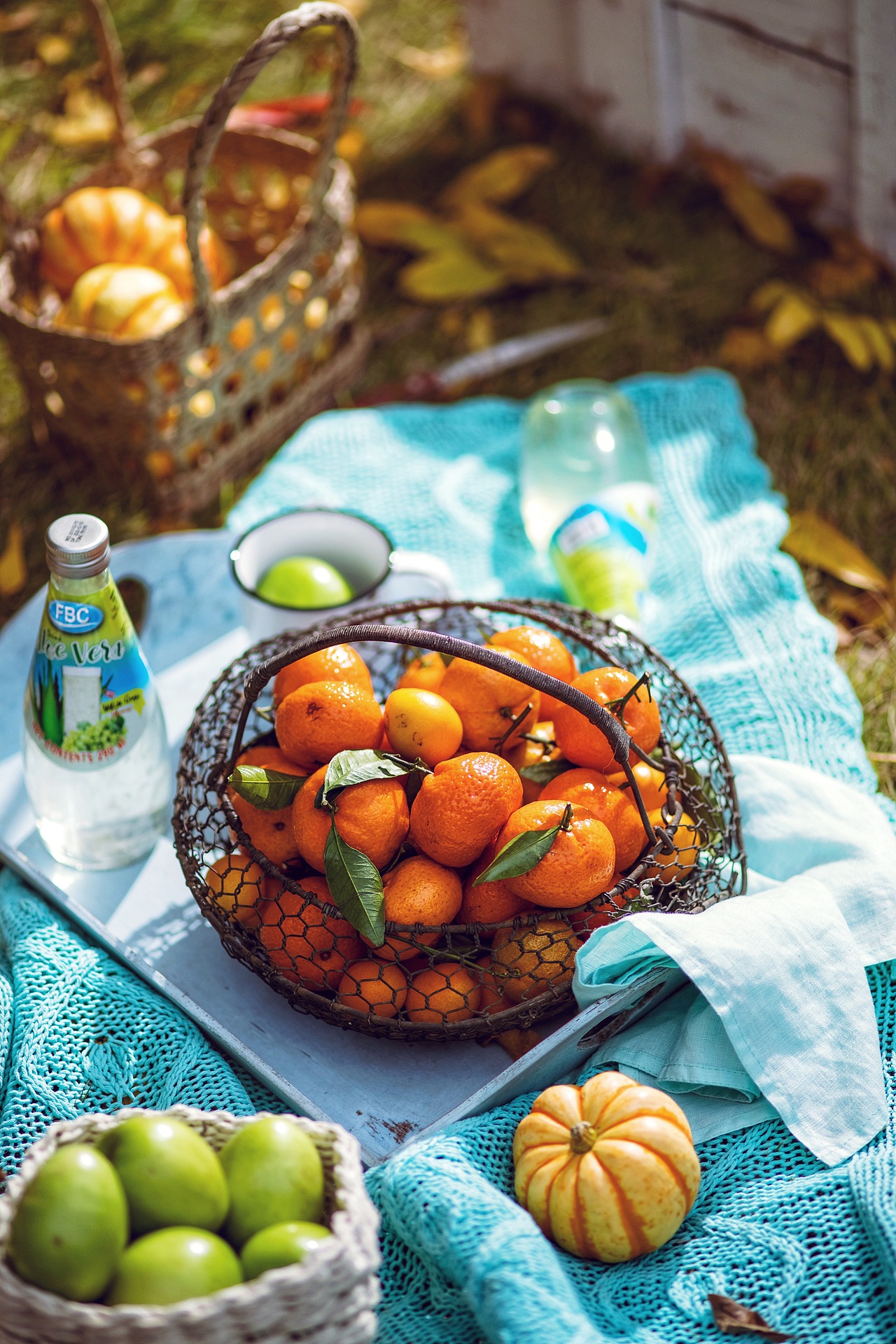 秋天的尾巴，户外，色彩（图ZMTM1NDU5OTcy） - 产品摄影 - 站酷设计师食鱼猩原创素材 - 站酷ZCOOL