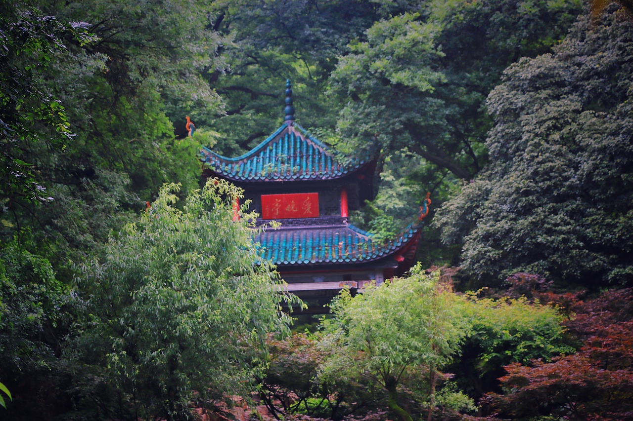 岳麓山_走在路上的小白站酷ZCOOL