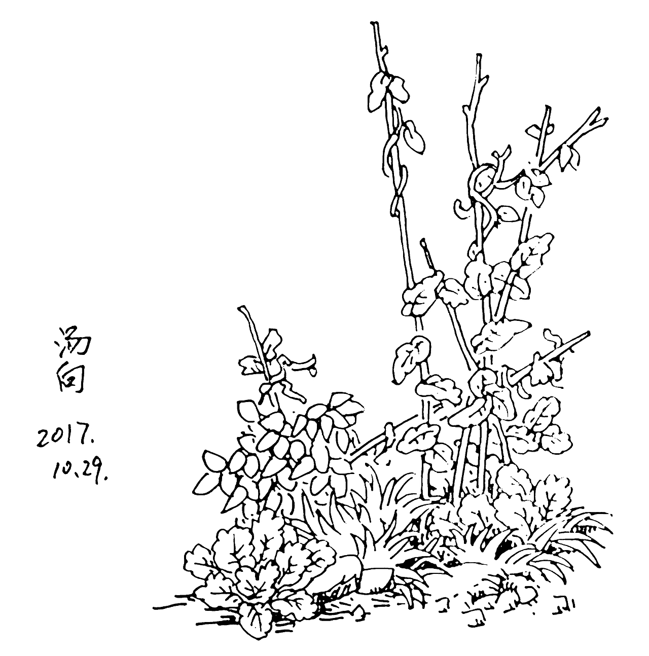 80幅清新田园风钢笔画小品，快收藏起来吧！（图ZMTEwNTYxNzA0） - 绘画 - 站酷设计师汤向钢笔画原创素材 - 站酷ZCOOL