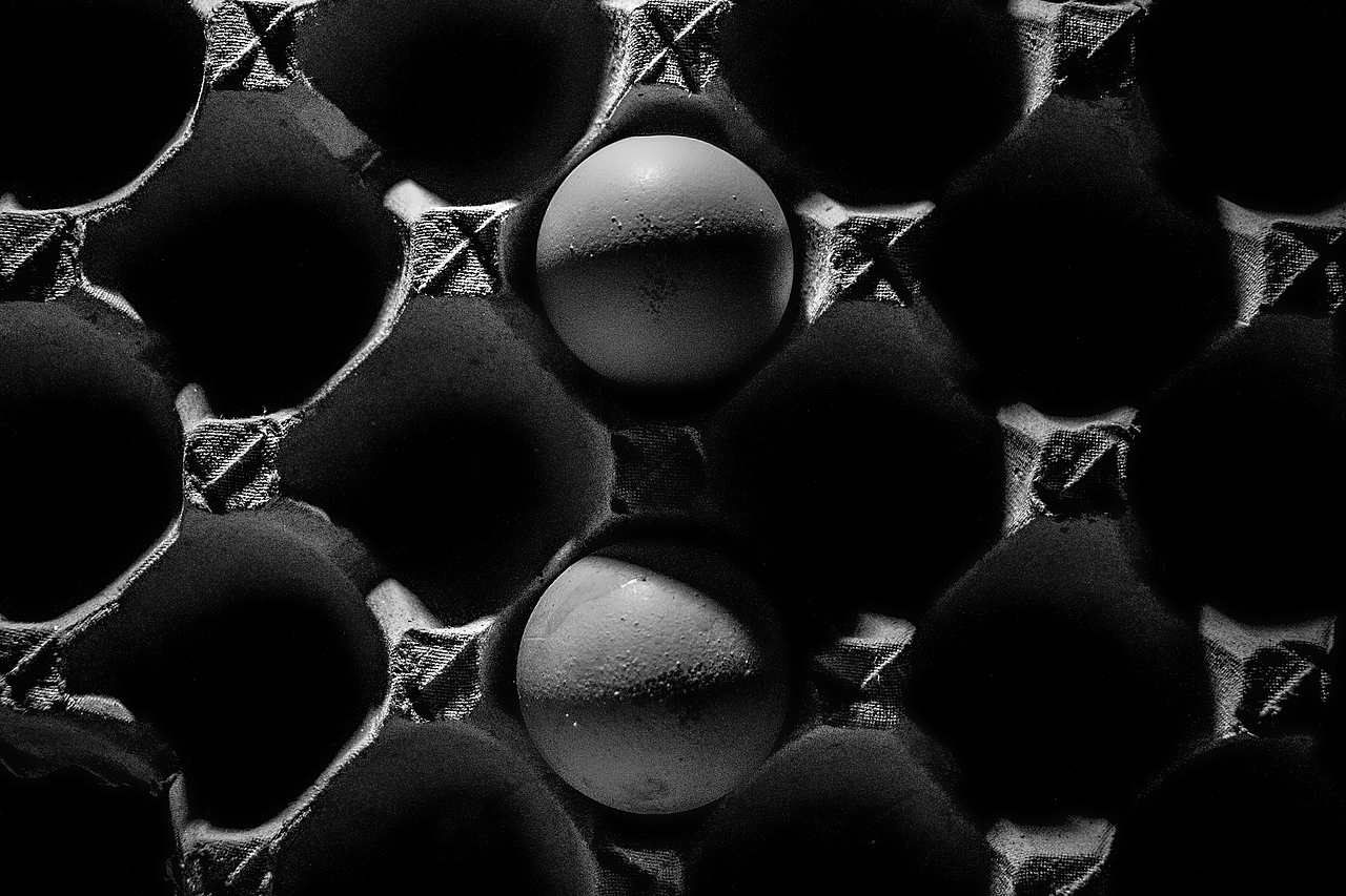 《非蛋》（图ZMjA2MTM2ODI4） - 产品摄影 - 站酷设计师鸽帕Gop原创素材 - 站酷ZCOOL