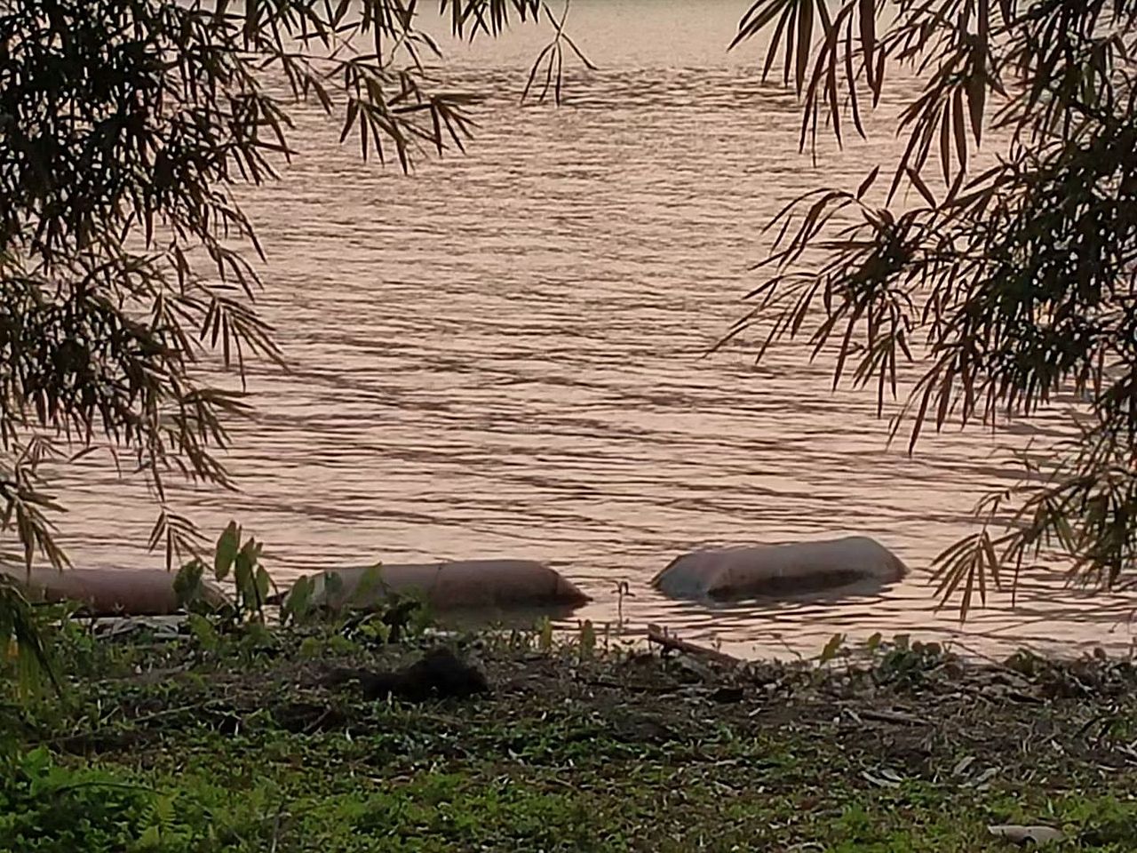 落日（图ZMzMzMDM4OTA0） - 人文/纪实摄影 - 站酷设计师广东隐形土豪原创素材 - 站酷ZCOOL