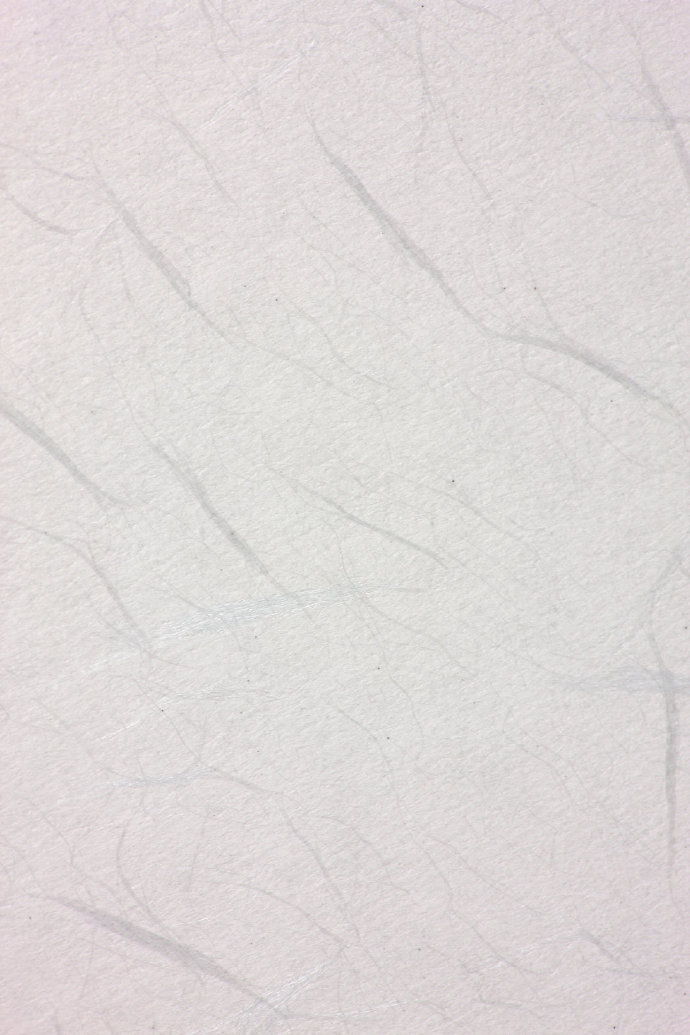 叕子的个人主页（背景预览） - 主页背景设置 - 站酷设计师叕子原创素材 - 站酷ZCOOL