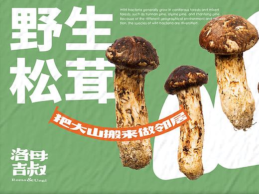「洛母吉叔」社区生鲜 - 「农产品设计 / 品牌VI 」