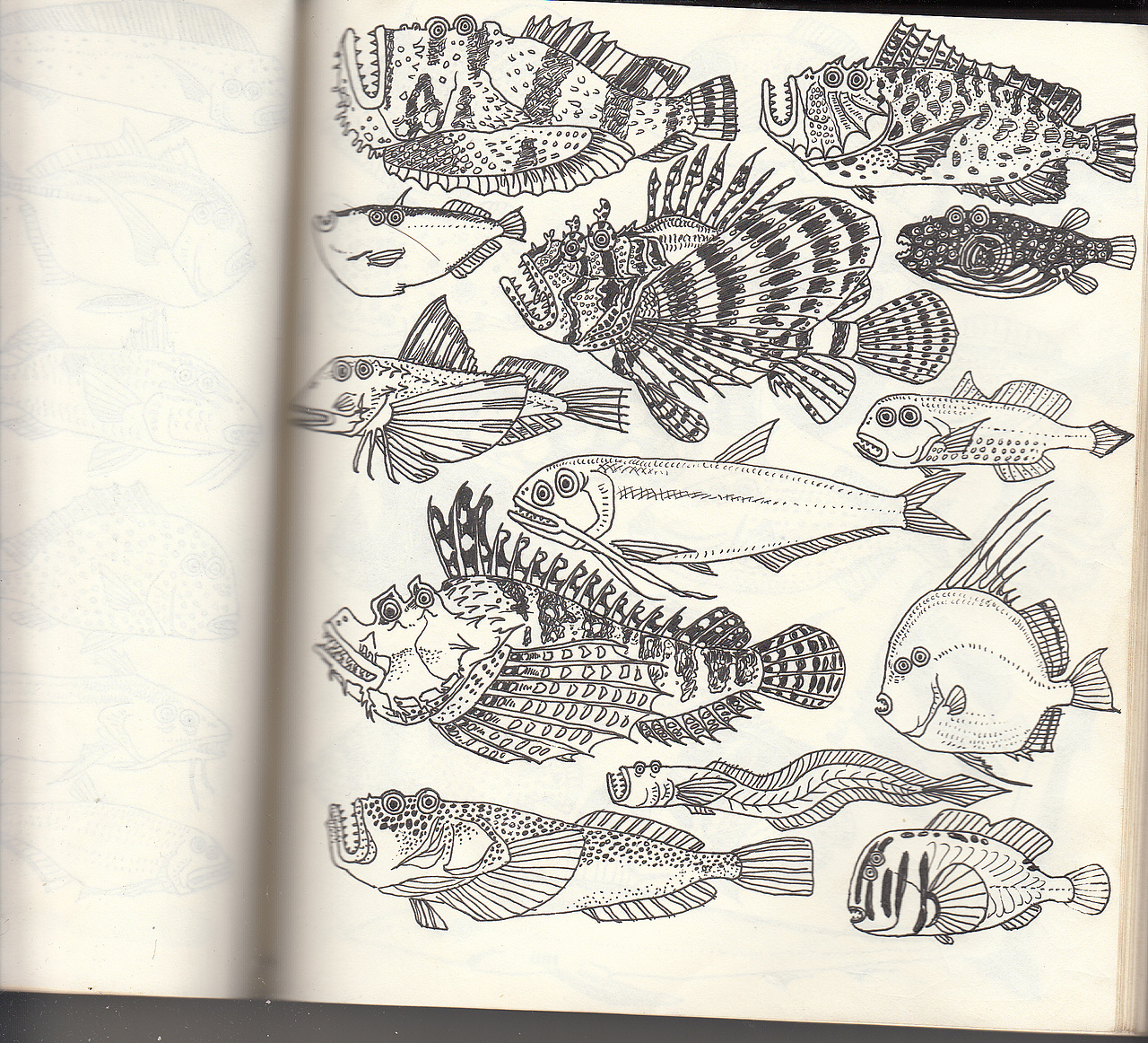 眼睛长在一侧的观赏鱼