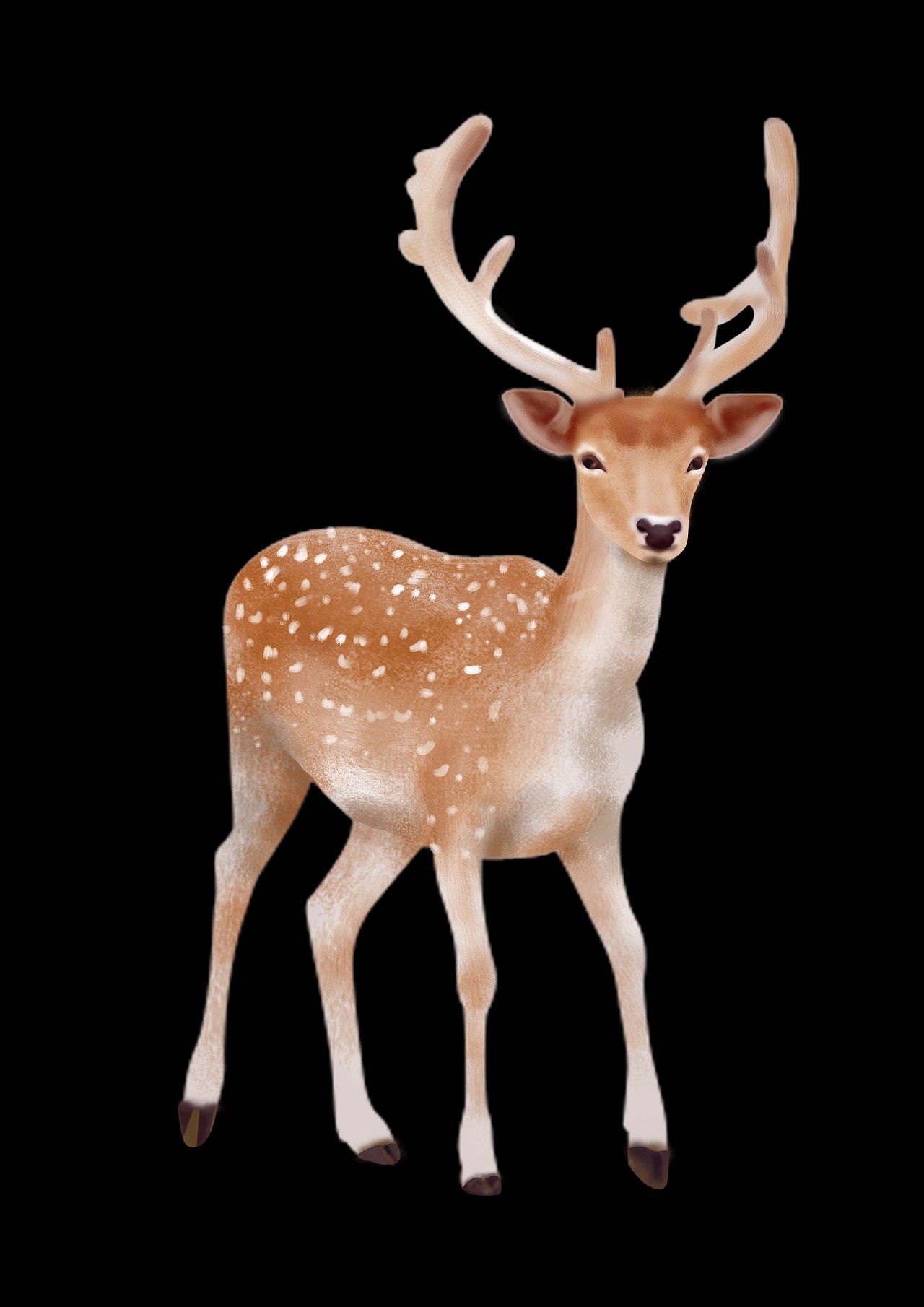 动物素材|平面|其他平面|睡不醒的黑胡椒 - 原创作品 - 站酷 (zcool)