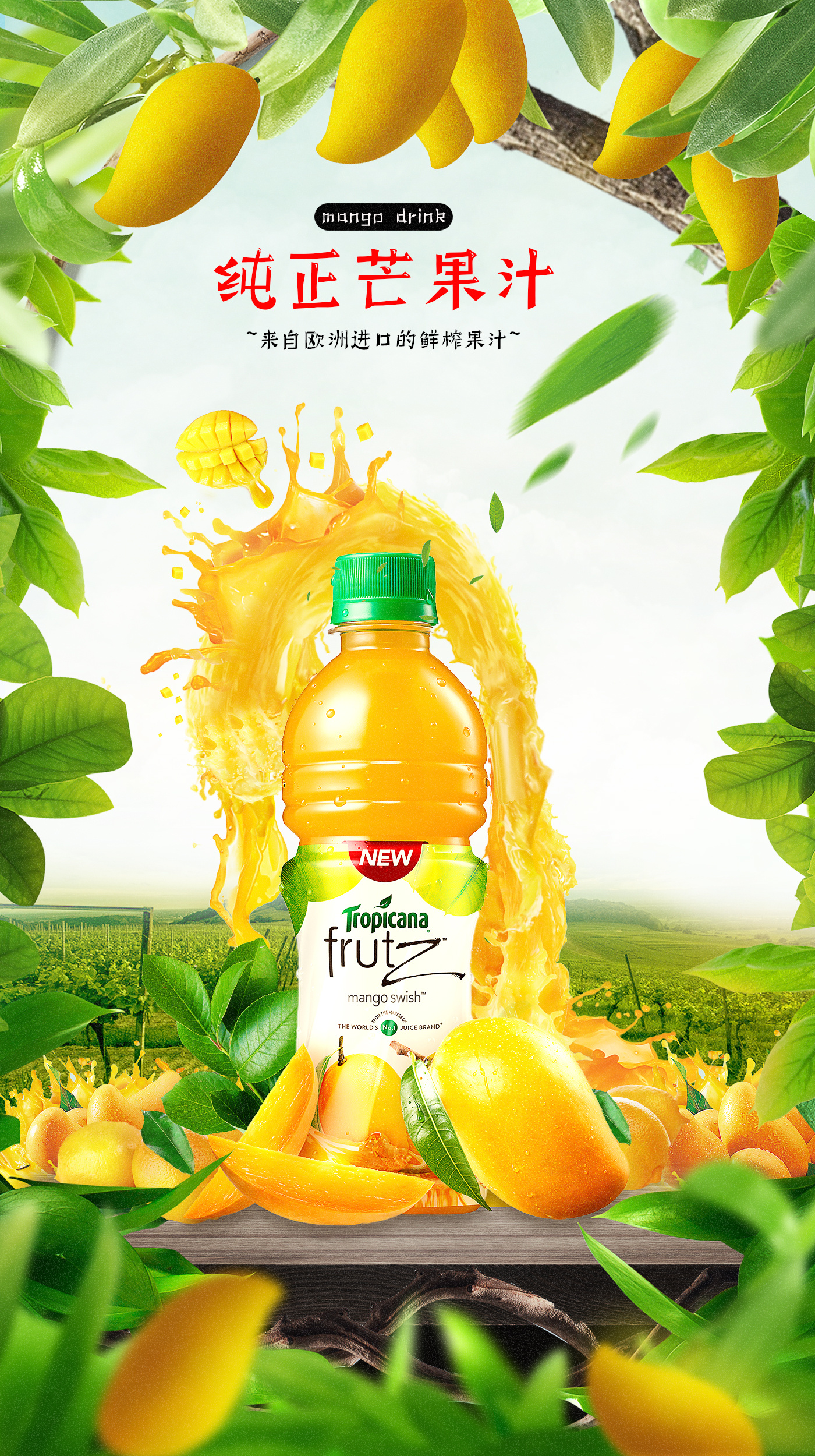 芒果汁海报练习