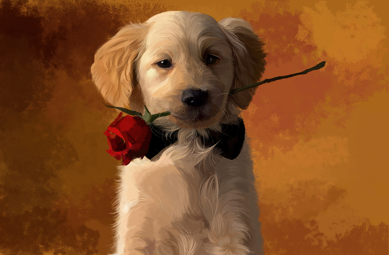 大学时学插画时的练习