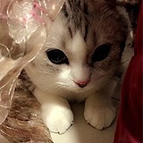 六悠悠的头像