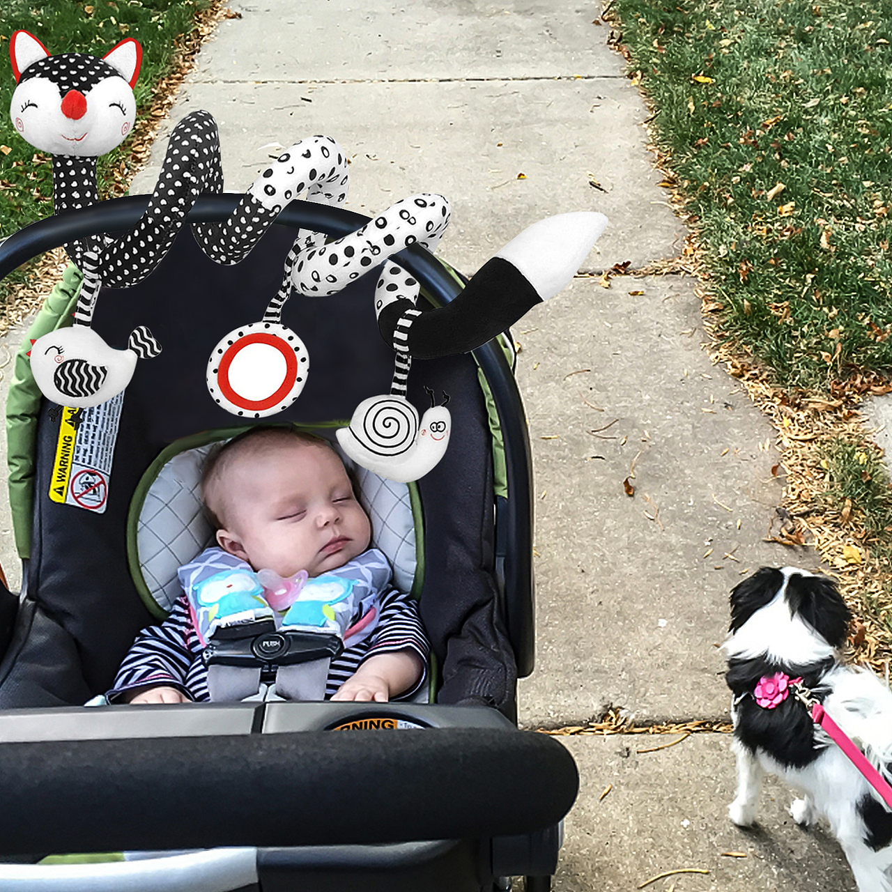 亚马逊 婴儿螺旋玩具