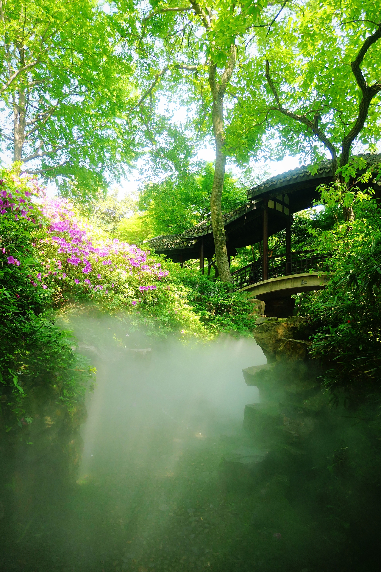 惠山古镇 | 杜鹃啼红