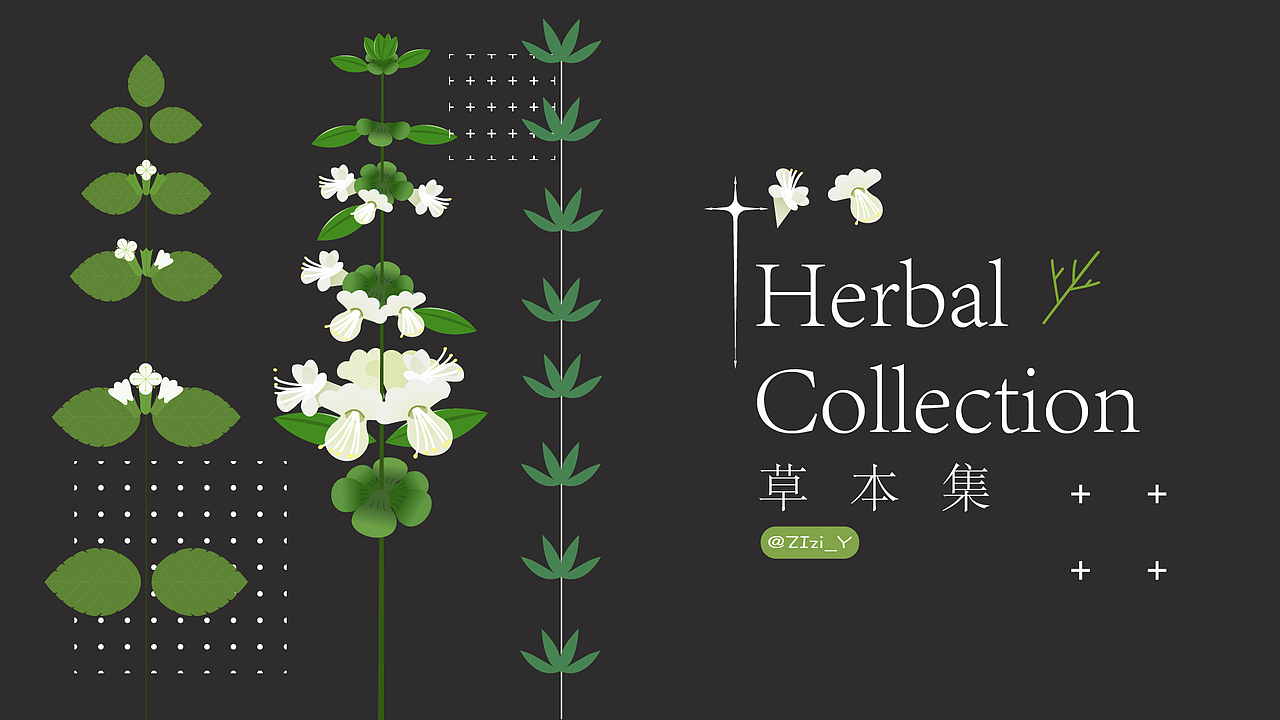草本植物·草花系列（图ZMzA0NzM0OTY4） - 创作习作 - 站酷设计师ZiasPocketDesign原创素材 - 站酷ZCOOL