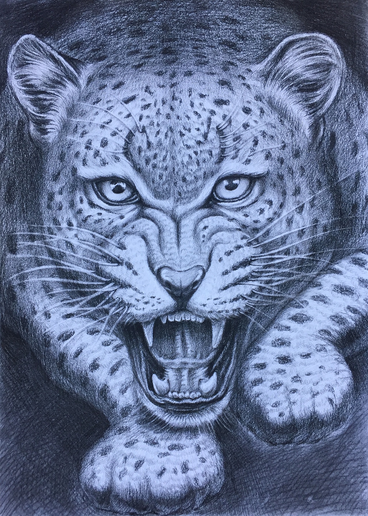 Leopard豹子|插画|插画习作|snow雪 - 原创作品 - 站酷 (ZCOOL)