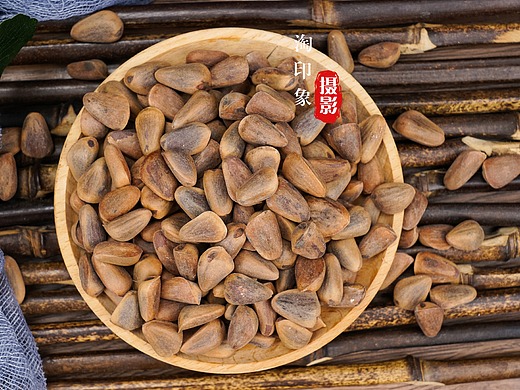 东北野生松子坚果干果拍摄