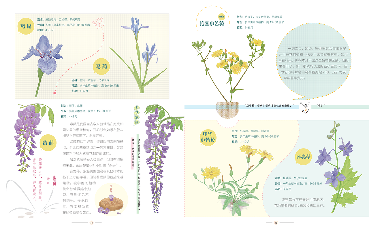 去野外-奇花异草（图ZMjgxMzIxODg0） - 儿童插画 - 站酷设计师高傲的喵原创素材 - 站酷ZCOOL