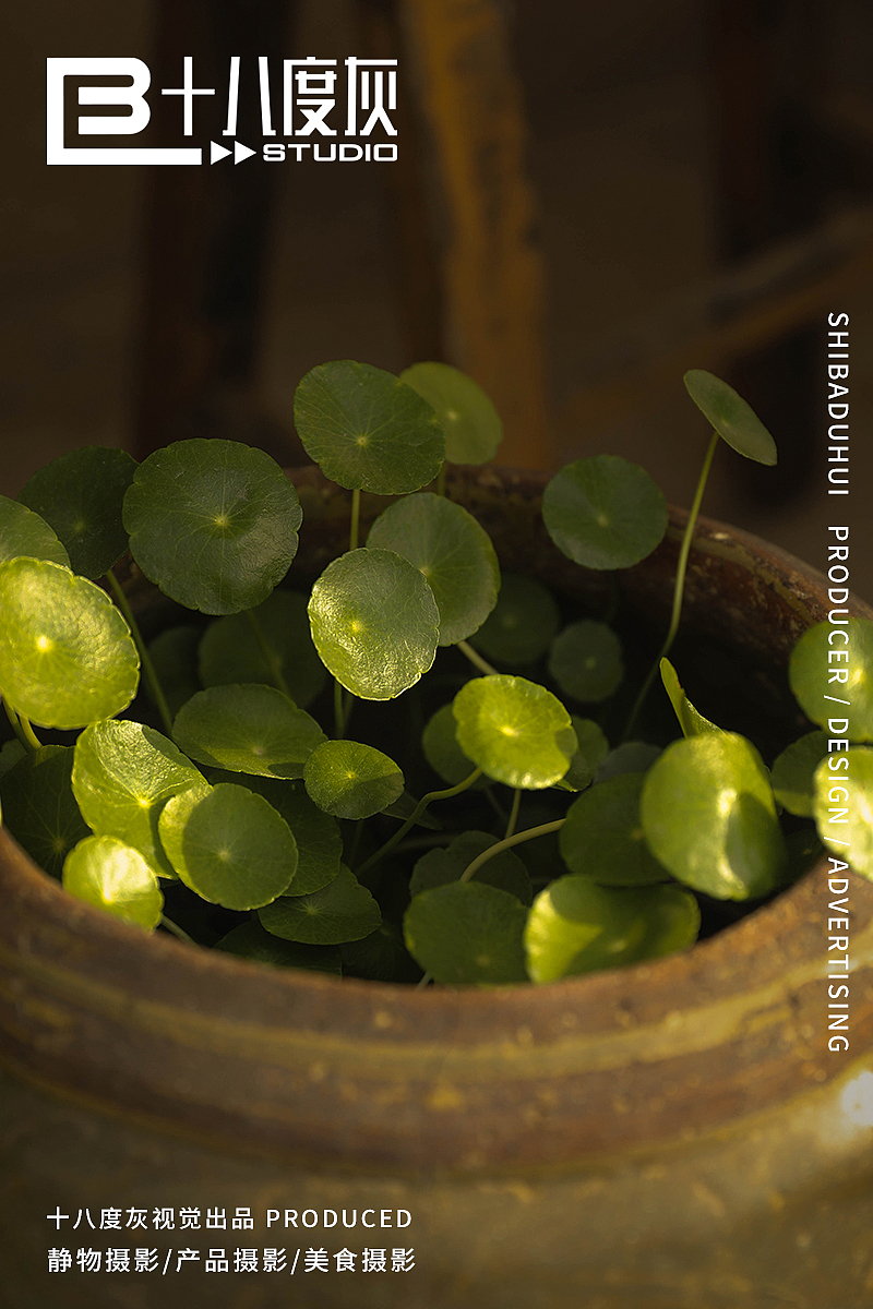 旧时光里的角落（图ZMjUyMzA4NTYw） - 美食摄影 - 站酷设计师柠檬兔子君原创素材 - 站酷ZCOOL