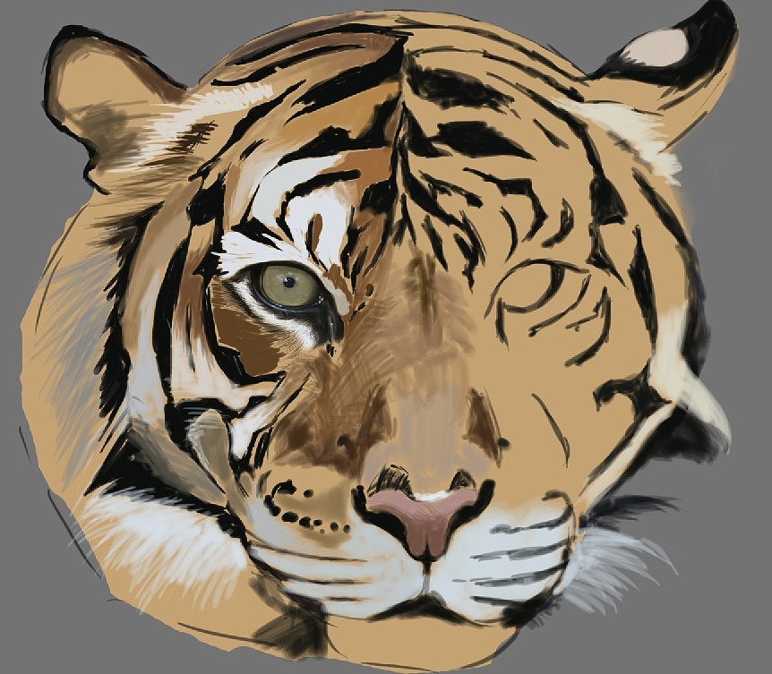 Tiger(图ZMTEyOTIwNzY=) - 创作习作 - 站酷设计师SW伯爵原创素材 - 站酷ZCOOL