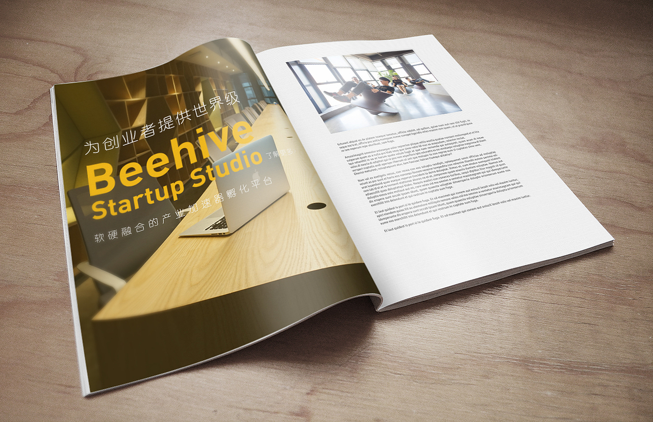 Beehive Startup Studio- VI设计（图ZNTY4OTExNTY=） - 品牌 - 站酷设计师cxfeng原创素材 - 站酷ZCOOL