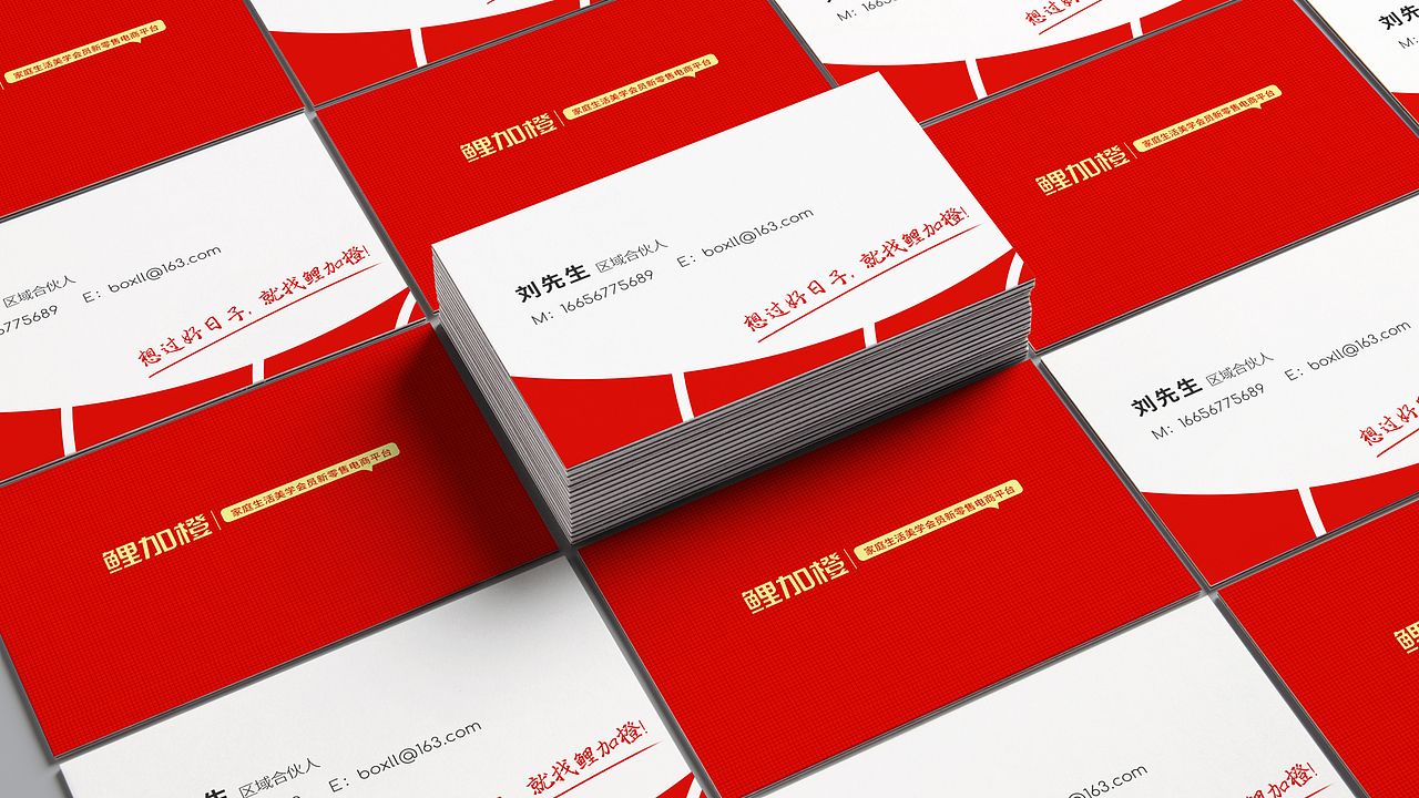 VI（图ZMTk5NzQ5MDE2） - 品牌 - 站酷设计师一条肋骨原创素材 - 站酷ZCOOL