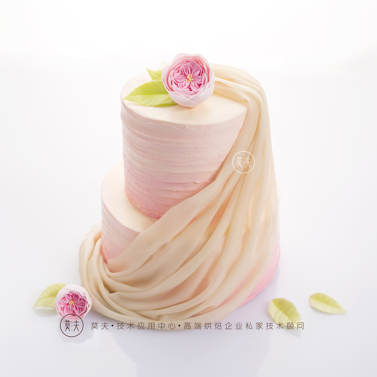 婚纱蛋糕图片_生日蛋糕图片(2)