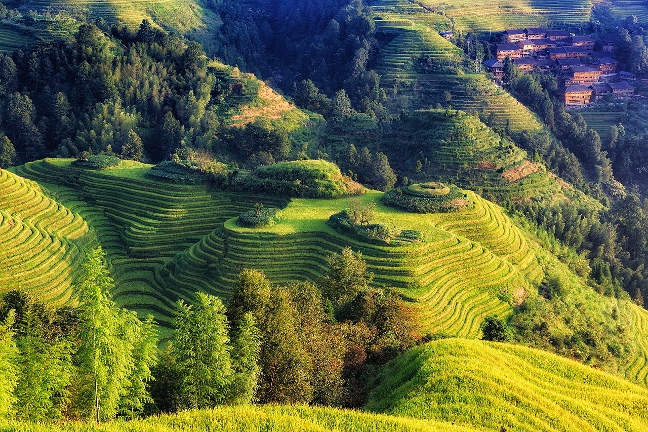 其中以金坑梯田,平安梯田两大寨为核心景区,还有龙脊古壮寨也逐渐声名