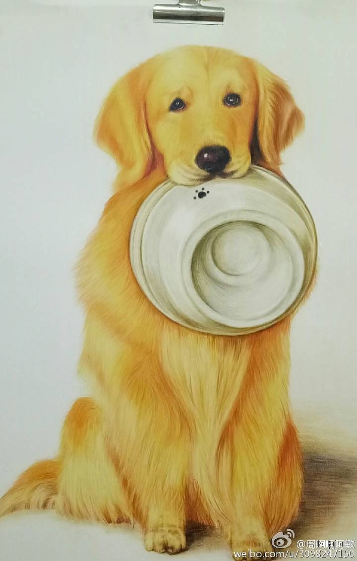 你有故事我有狗——系列