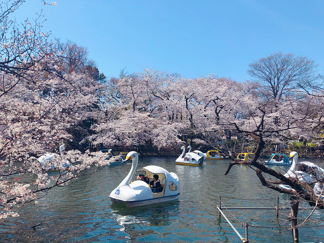 在武藏野美术大学学版画