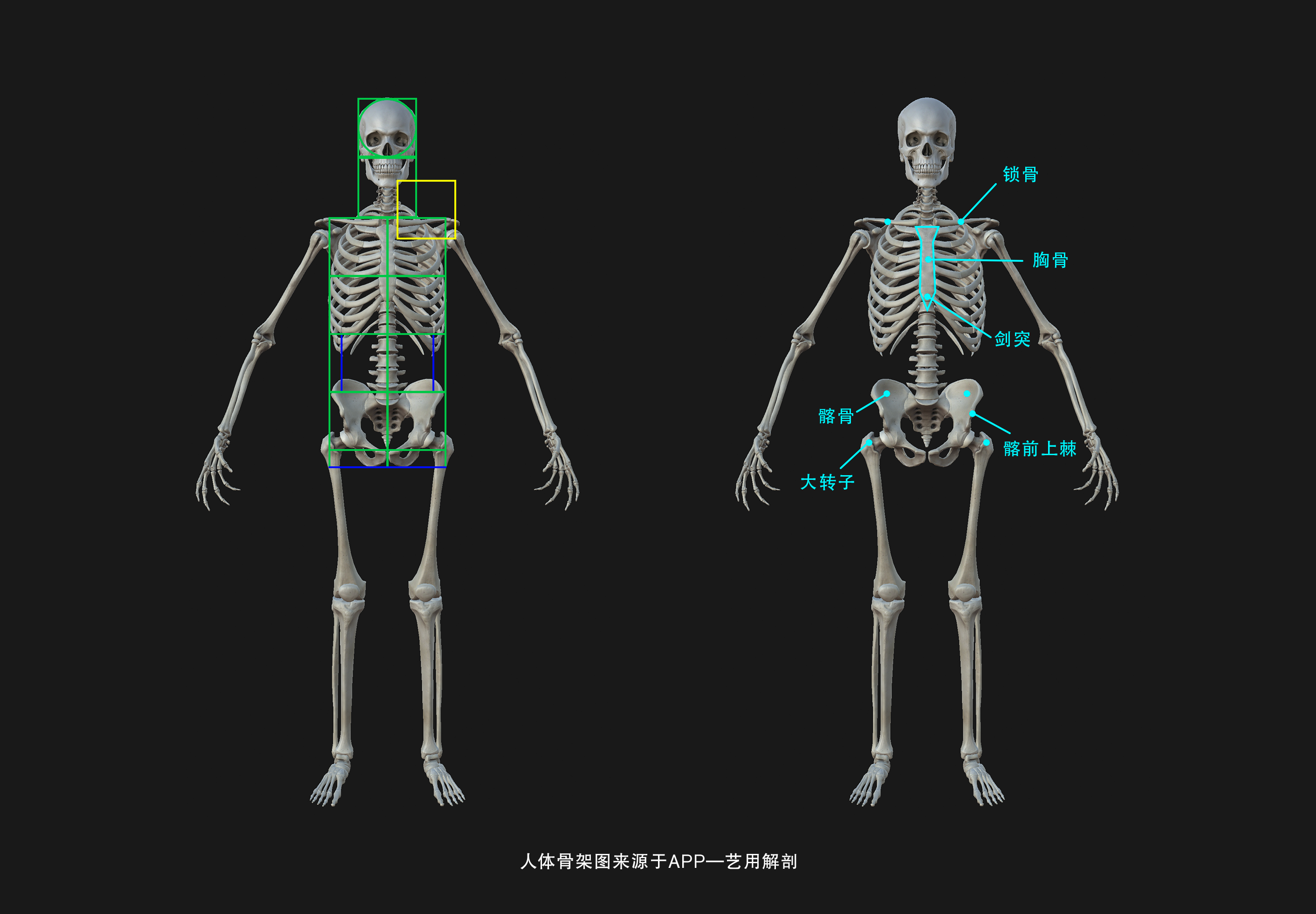 人物插画的动感从何而来