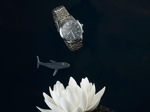 今天又加班-鯨魚花和手表（個(gè)人主頁(yè)-ZNDgzNzQxODg=） - 產(chǎn)品攝影 - 站酷設(shè)計(jì)師一條空心菜原創(chuàng)素材 - 站酷ZCOOL