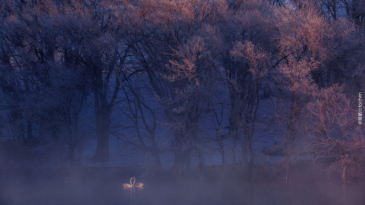 山南水北,一路相随。 520