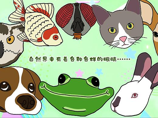 儿童科普绘本《我们的眼睛》配套视频(毕设的一部分)