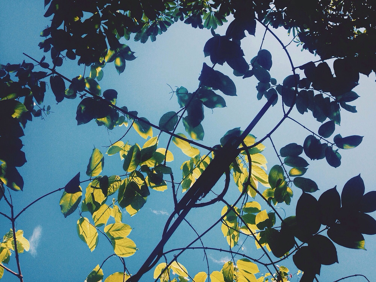 路过便是永远（图ZMzE4MzY1MjQ=） - 风光摄影 - 站酷设计师阿肉_原创素材 - 站酷ZCOOL