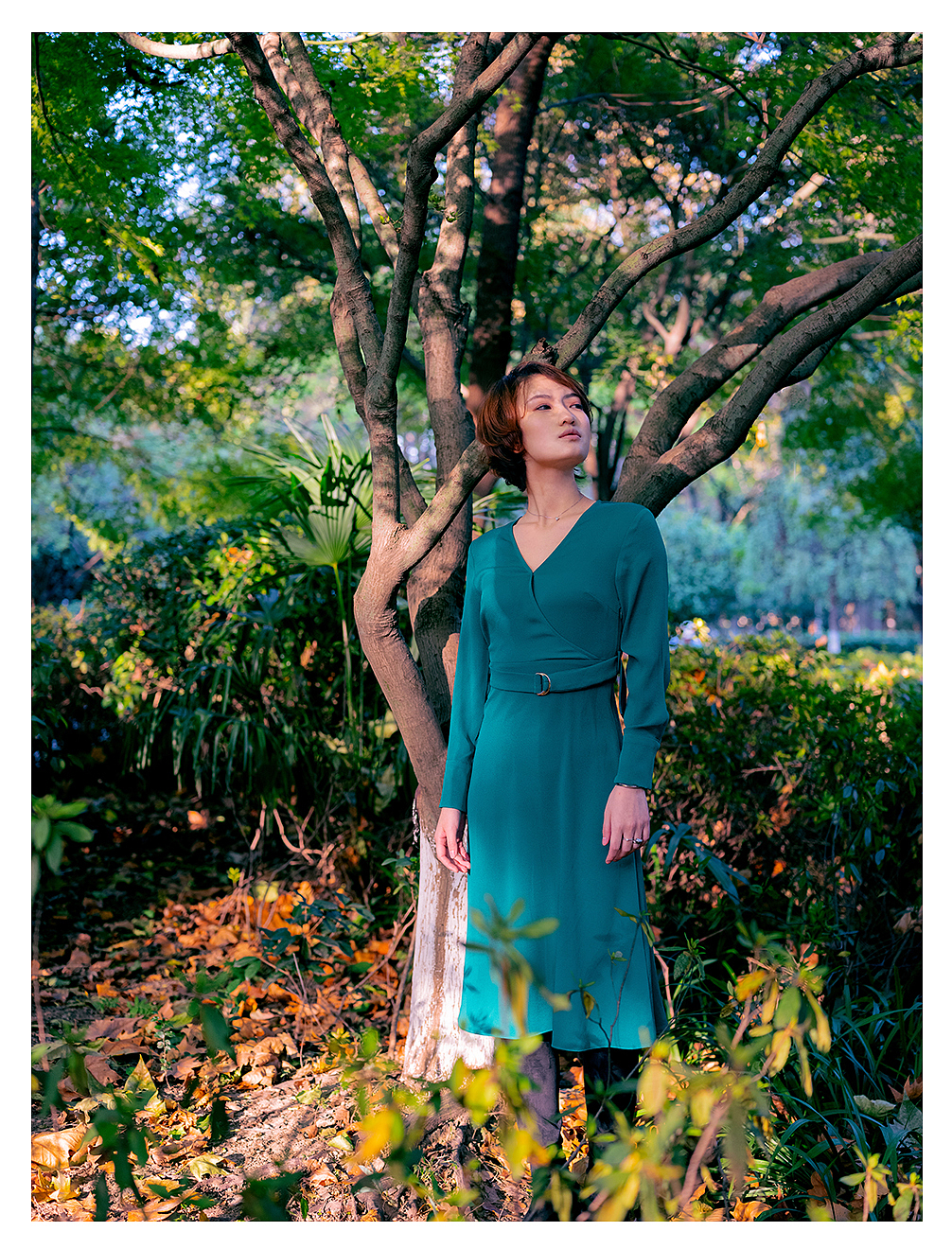 秋天的一组照片