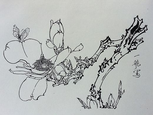 中国花鸟画-工笔白描