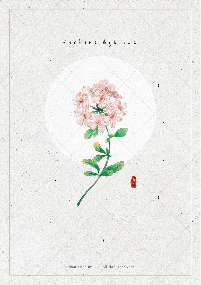 那些花儿-肆（图ZMTM3OTM5OTg4） - 创作习作 - 站酷设计师ESTS原创素材 - 站酷ZCOOL