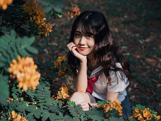 记忆里的小黄花
