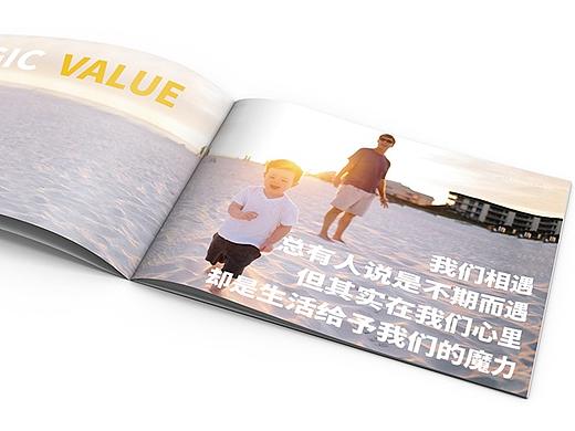 舜悦营销画册设计（第二版)