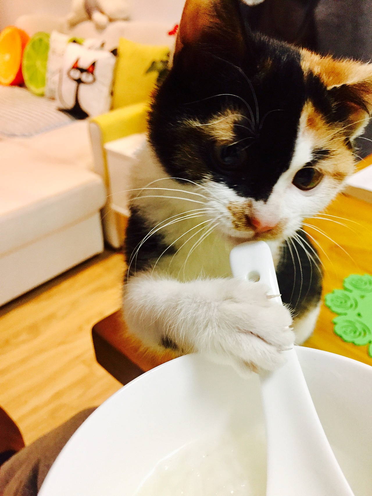 我家那几口子-手机拍摄