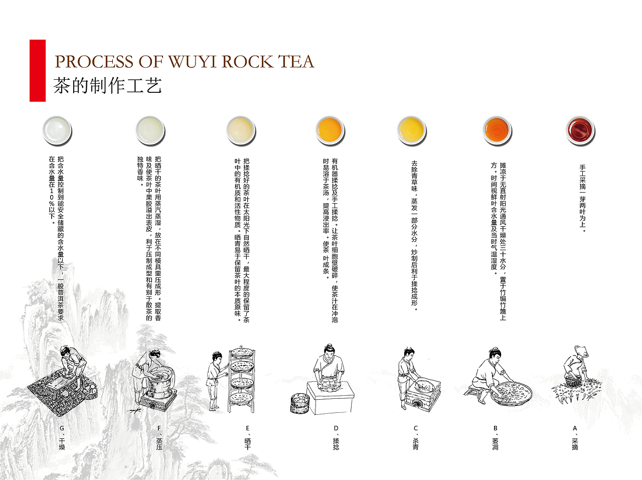 茶叶招商加盟手册