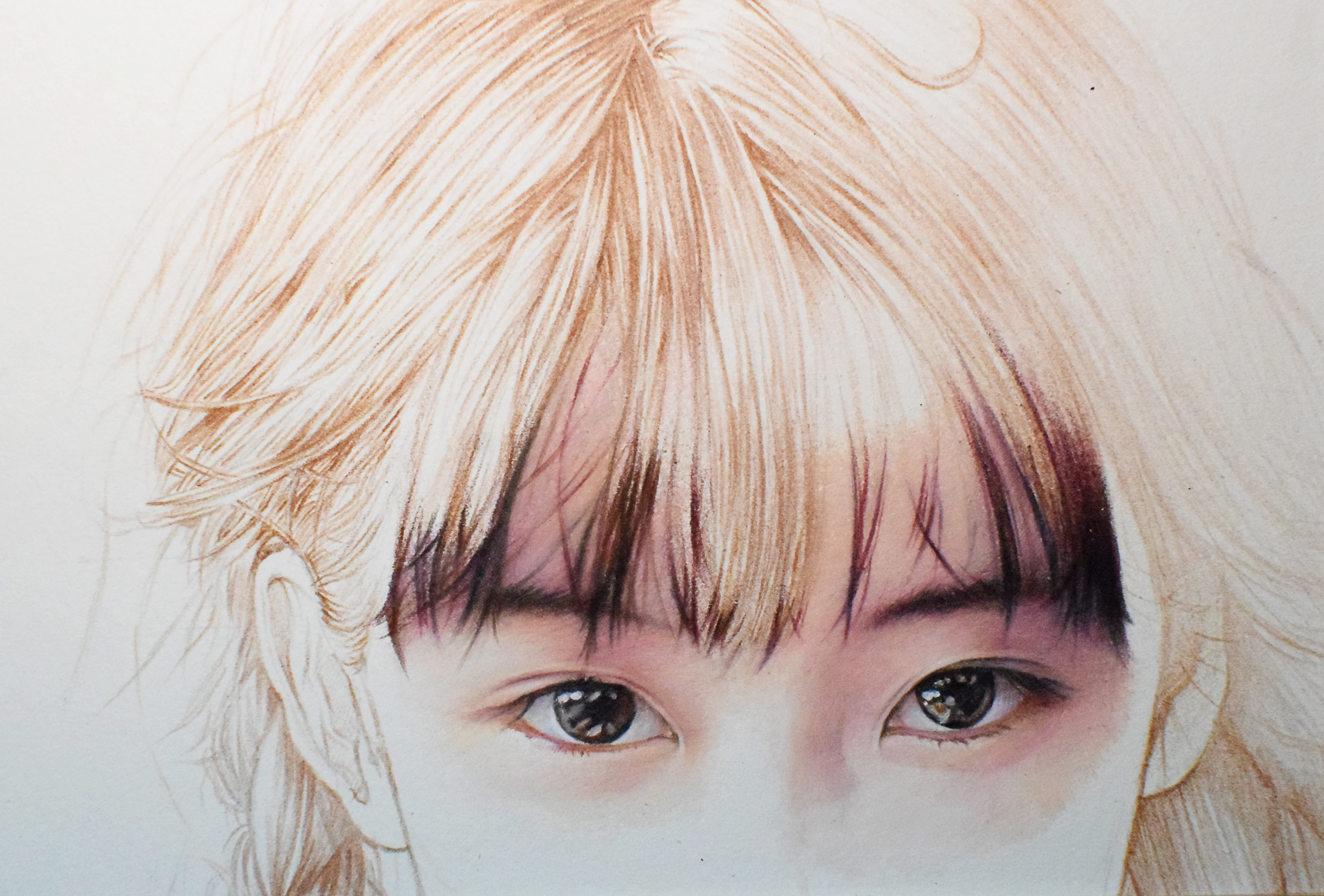 彩铅作品《半藏森林》