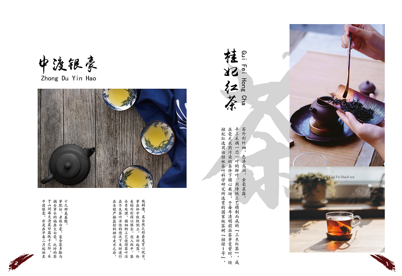 茶叶画册